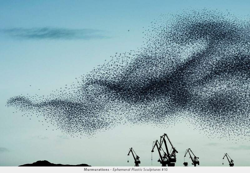 Illustration for article titled Photographer transforms plastic bags into beautiful bird flocks